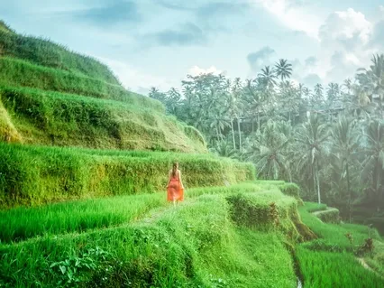 Conscious Heart 4: Subliminal Affirmations