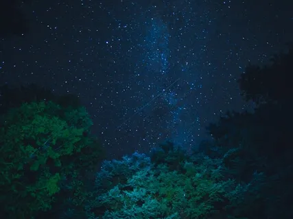 Conscious Listening - Meditation Music - Calm Relaxing Ambient Nature Sounds