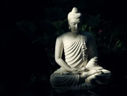 Conscious Living, Day 1: Awake To Life