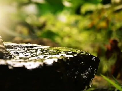 Conscious Living | Deep Breathing