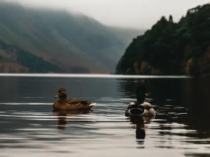 Conscious Living: Deep Relaxation 