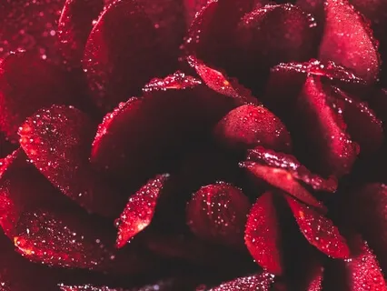 Conscious Movements For Menstruation Pain