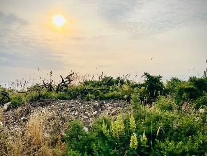 Conscious Parenting - Why Do We React?