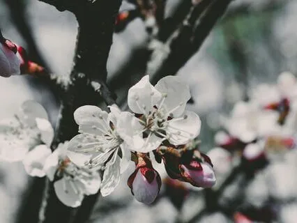 Conscious Transitions: Letting Go With Grace And Purpose