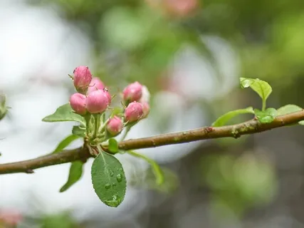 Consciously Creating