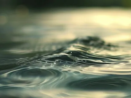 Consciousness Adrift