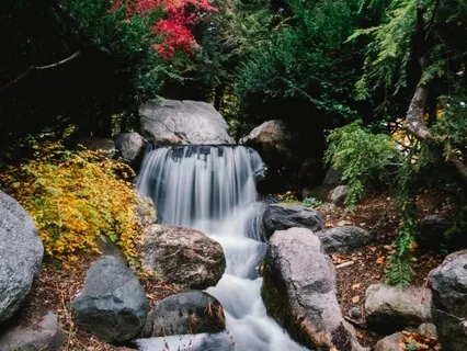 Consciousness Is Motionless Free Fom Dualities, Meditate On It