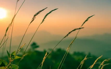 Consciousness Meditation