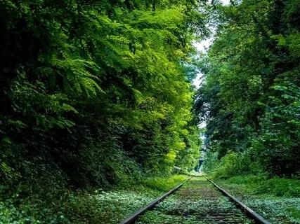 Consciously Create Your Life