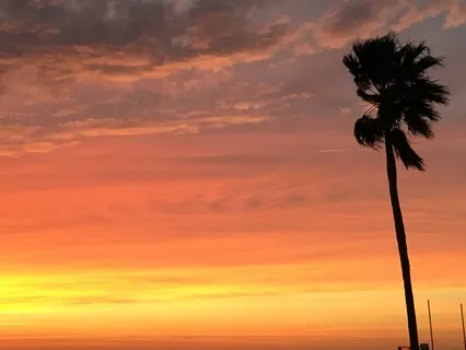 Considering Our Baggage