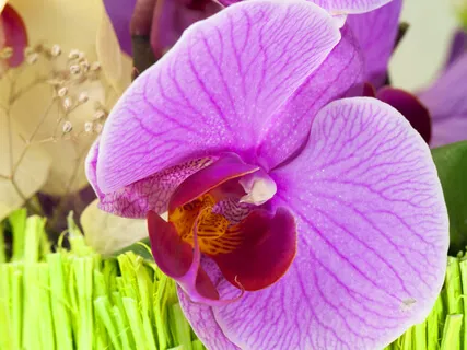 Consistency In Your Creating