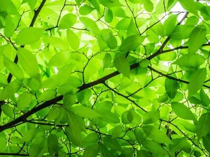 Consistently Showing Up