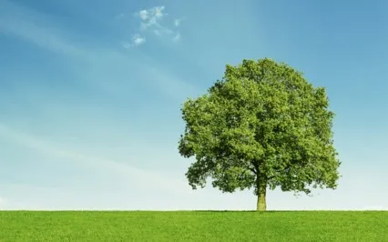 Constant Watching Means Stopping Seeking Inwardly