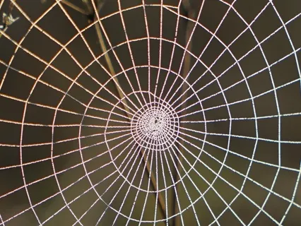 Constantly Here And Beyond