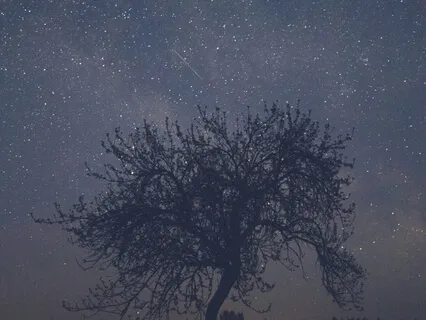 Constellation of You Yoga Nidra