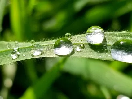 Contacting The Present Moment