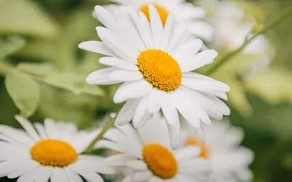 Contacting The Present