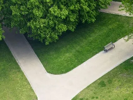 Contemplating 'A Great Transition' - Tao Wisdom - I-Ching 28