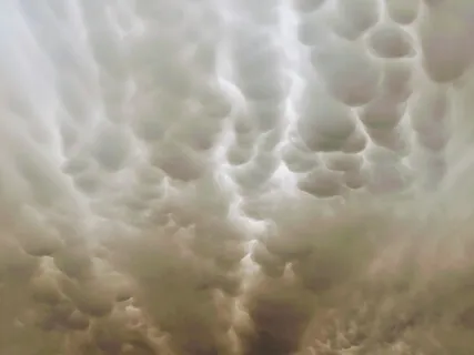 Contemplating Heart Mind -From Day 6 Of An Online Retreat Aug-Sept 2021 