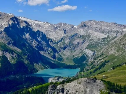 Contemplating Interdependence, Connections To Nature 