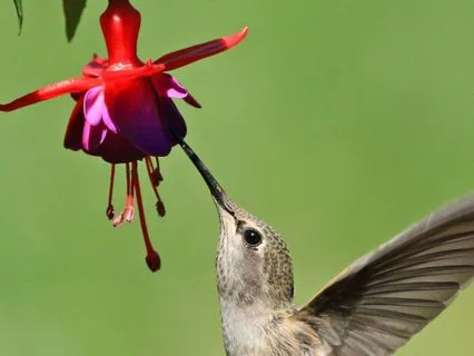 Contemplating Persistence: Tao Wisdom - I-Ching 32