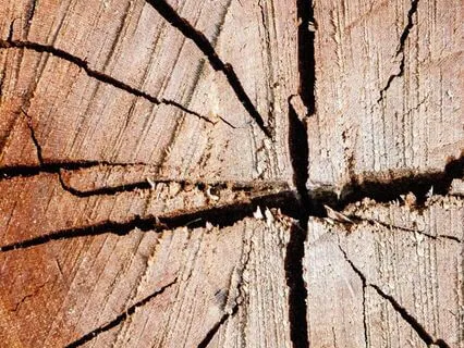 Contemplating 'Splitting Apart': Tao Wisdom - I-Ching 23