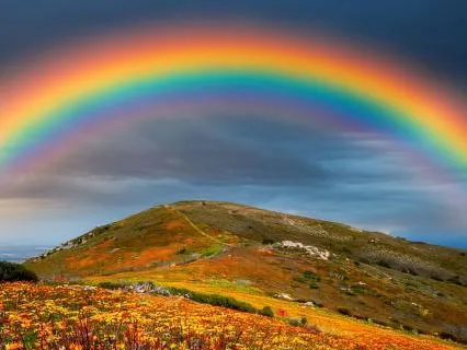 Contemplating Success: Tao Wisdom - I-Ching 42