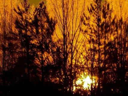 Contemplating The Darkening Of The Light: I-Ching 36