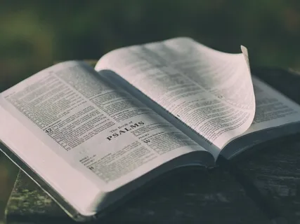 Contemplating With The Psalms - Lovingkindness