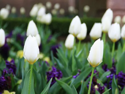 Contemplatio: The Ignatian Prayer (Remixed)