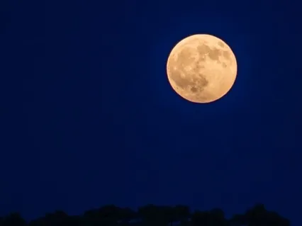 Contemplation Before Bed