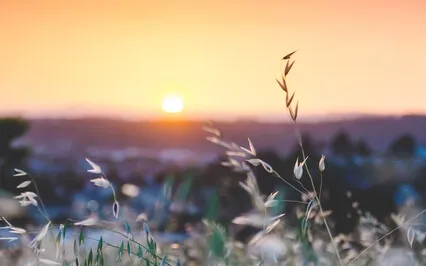 Contemplation Meditation On Psalm 95 With Tiaga Prem