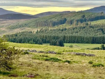 Contemplation & Neurodiversity: Curious Reflections