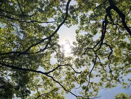 Contemplation Of The Third Step Prayer
