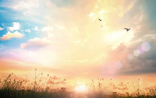 Contemplation: The Nameless And The Named