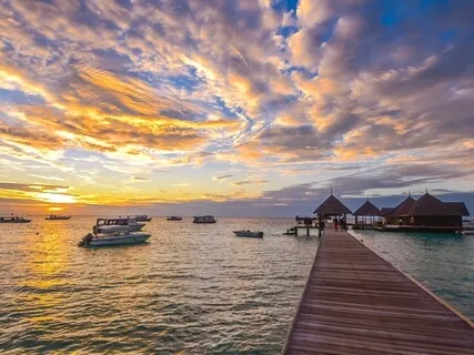 Contemplations By The Ocean