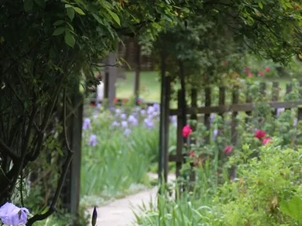 Contemplative Approach To Difficult Emotions