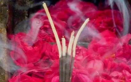 Contemplative Meditation