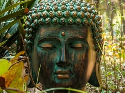 Contemplative Mind At 40 Hz