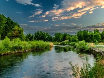 Contemplative Moments 