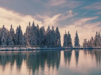 Contemplative Piano Music For Sleep And Calm