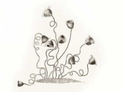 Contemplative Piano Music