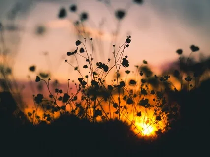 Continual Spiritual Development