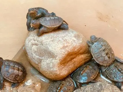 Continuing The Calm: Week One Healing After Surgery