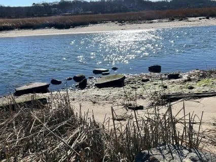 Continuing The Calm: Week Two Healing After Surgery