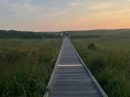 Contrast Breathing For Nervous System Regulation