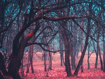 Breath Control And Blue To Red Meditation