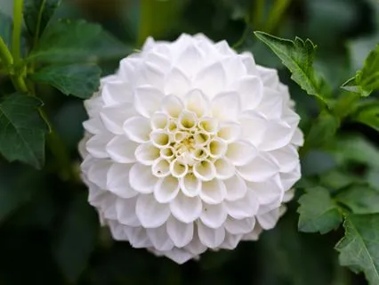 Control Is An Illusion: Don't Fight The Flow Of Life