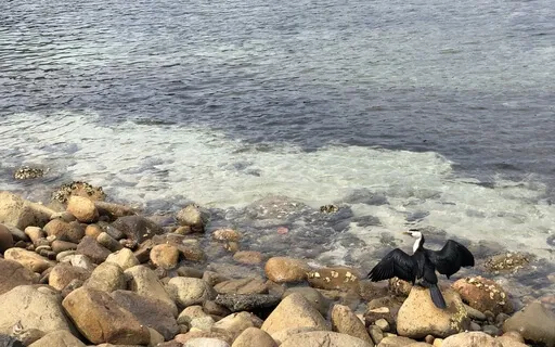 Control Your Energy Meditation 