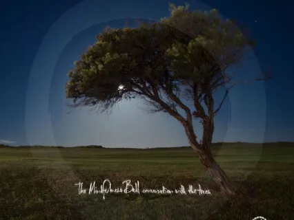 Conversation With The Trees